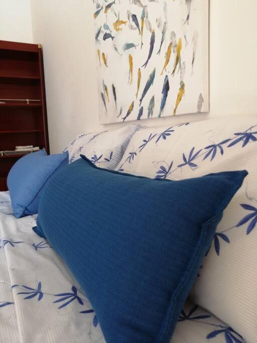 Apartment Palau Del Corso